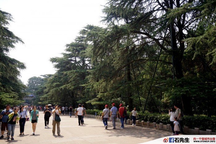 nanjing-hong-kong-express-shanghai-travel-experience58