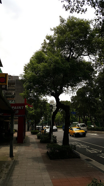 20150609_134540(0)