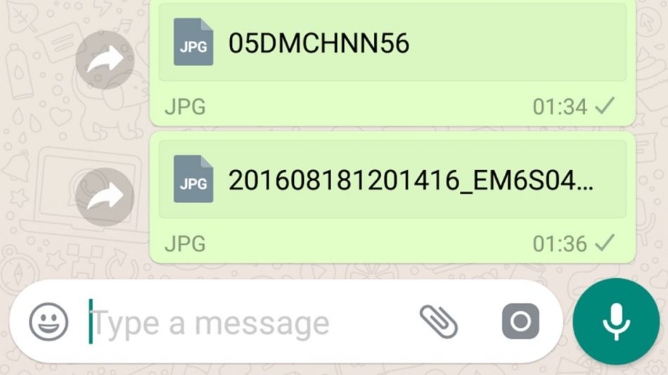 WhatsApp Gambar