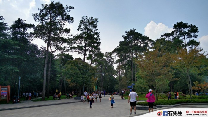nanjing-hong-kong-express-shanghai-travel-experience3
