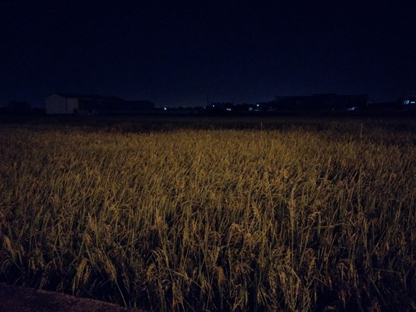 image019