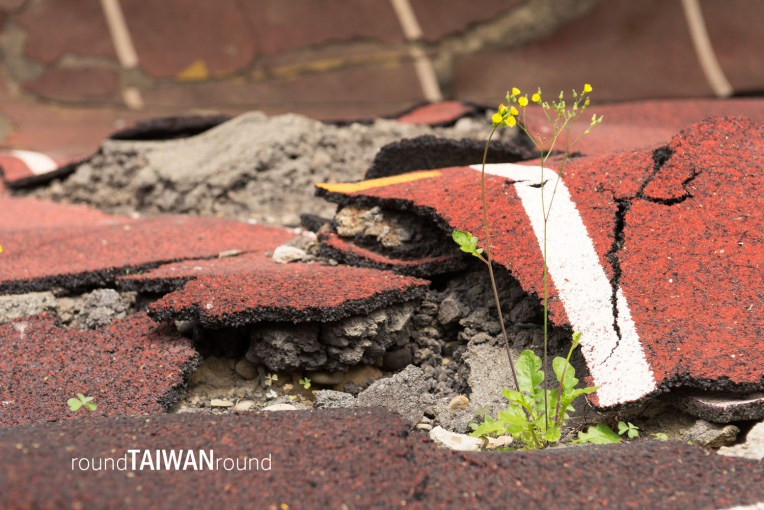 921 Earthquake Museum of Taiwan (921地震教育園區)-014