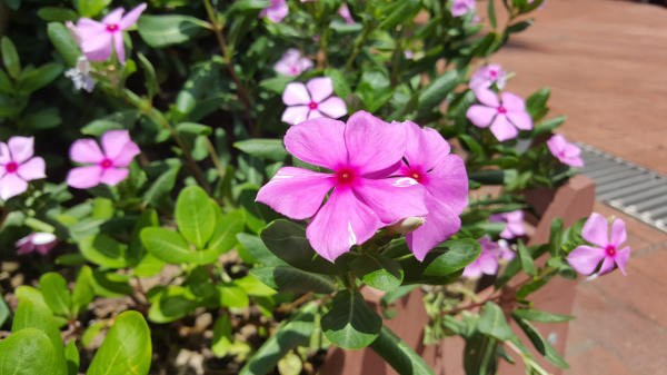 20150906_133111